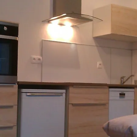 Sunny, Fully Furnished Type With Terrace * Plzeň