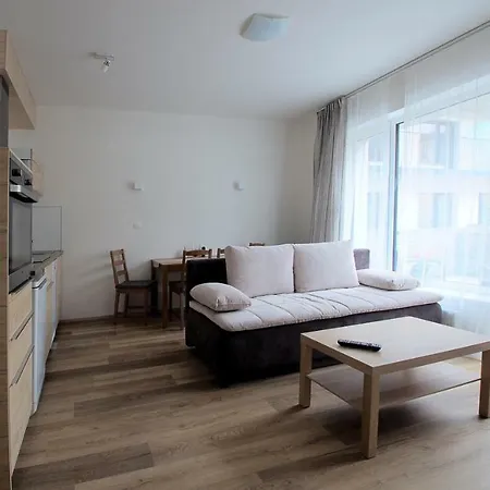 Sunny, Fully Furnished Type With Terrace