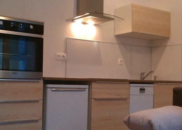 Sunny, Fully Furnished Type With Terrace * Plzeň